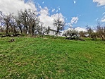 IMG_20210424_120704