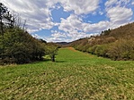 IMG_20210424_122423