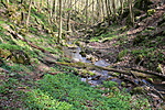 IMG_4582