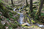 IMG_4585