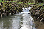 IMG_4613