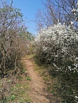 IMG_20210402_103146