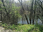 IMG_20210424_142310
