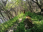 IMG_20210424_142316