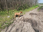 IMG_20210424_143611