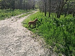 IMG_20210424_144041