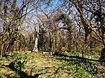 IMG_20210409_113325