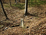 IMG_20210410_143550