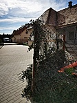 IMG_20210411_161955