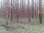 IMG_20210417_135940