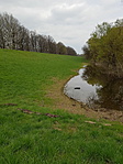 Élő és holt Tisza (6)