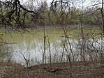 Élő és holt Tisza (8)
