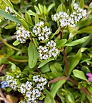 IMG_20210417_163653_308