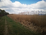 IMG_20210404_104326