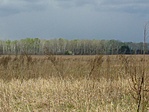 IMG_20210415_131254