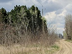 IMG_20210415_131300