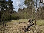 IMG_20210421_132016