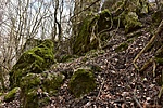 HER_5373_tn