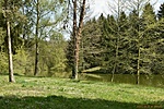 HER_5833_tn