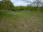 IMG_20210523_092825_1