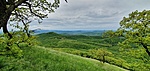 IMG_20210524_125743