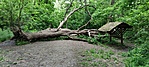 IMG_20210521_175119