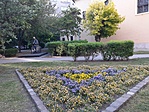 20210504_180909