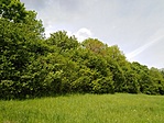 IMG_20210515_111110