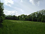 IMG_20210515_111231