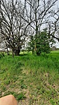 20210501_142035 (1)