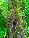 IMG_20210516_124828