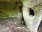 IMG_7233
