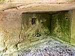 IMG_7235