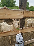 viber_kép_2021-05-25_08-55-13