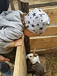 viber_kép_2021-05-25_08-55-46