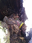 hoko1