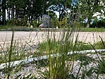 Ezt _latja_a_geolada