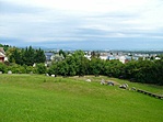 Kilátás a parkból