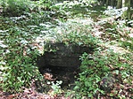 Forrás 1.