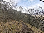 IMG_20201229_141623