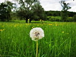 IMG_20210522_182854_resize_2