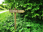 IMG_20210522_183918_resize_2