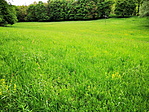 IMG_20210522_182946_resize_2