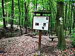 IMG_20210522_180958_resize_2