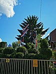 Szemafórok