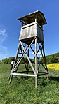 IMG_9681