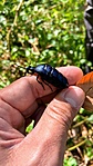 IMG_9684
