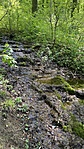 IMG_9686