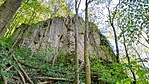 IMG_9694