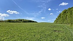 IMG_9701